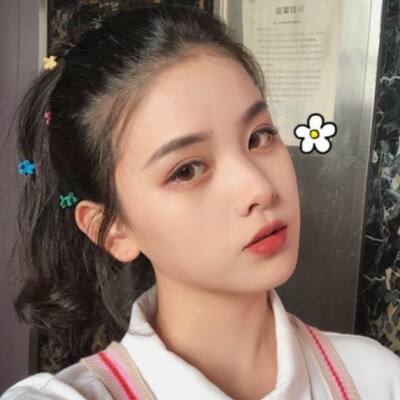 凤凰令历史版下载
